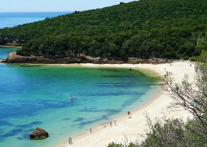 - Setúbal
